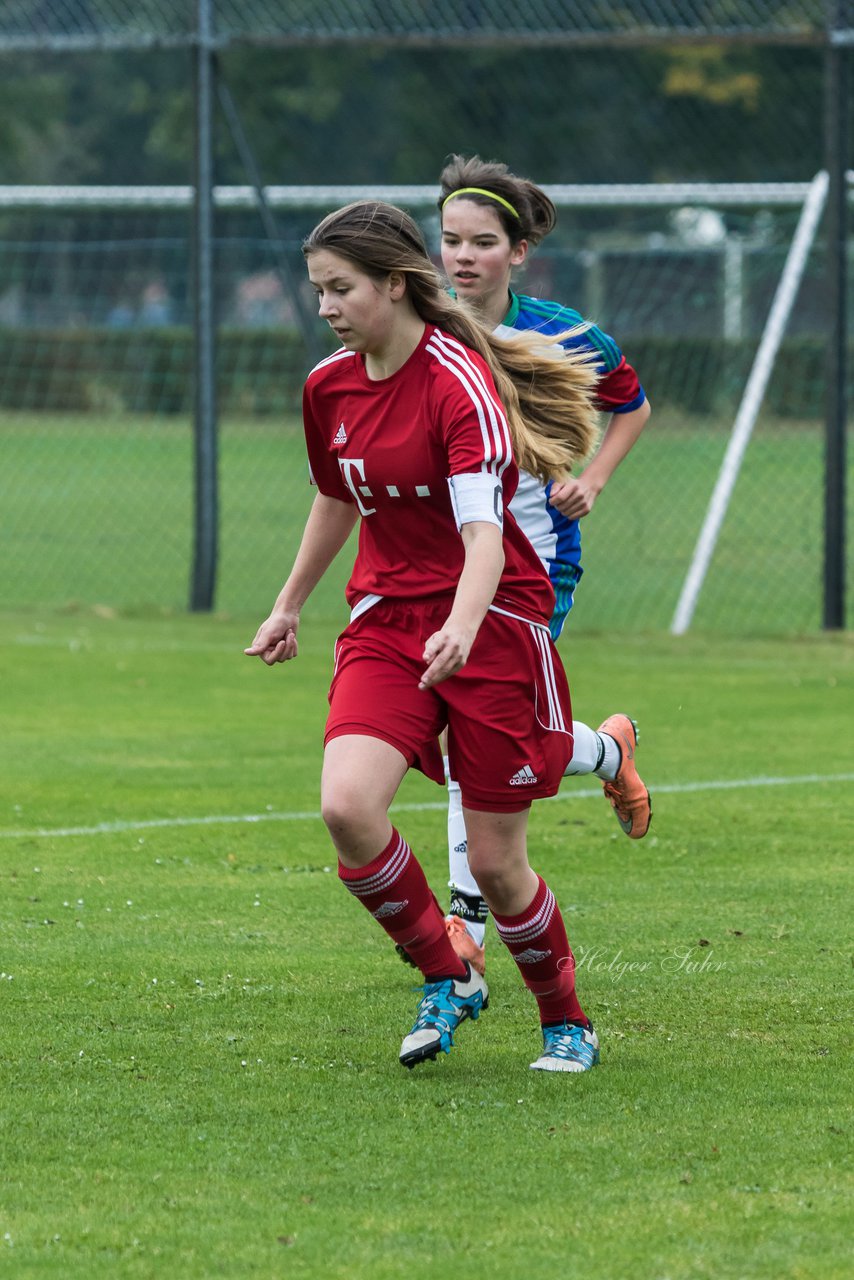 Bild 230 - B-Juniorinnen SV Henstedt Ulzburg - SV Wahlstedt : Ergebnis: 11:0